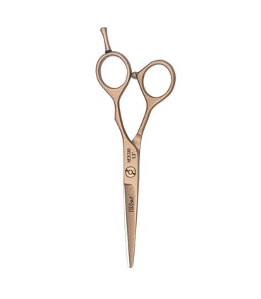 Eurostil Tijera Neostar Gold 5,5 Neostar 06964/70