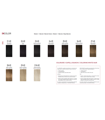 Tinte INSIGHT Incolor  4.07 Castaño chocolate frío 100 ml