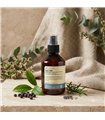 INSIGHT Leave in sin aclarado - Uso frecuente Daily use PET PROMO