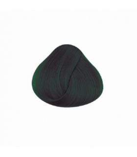 Tinte La Riche Directions Ebony