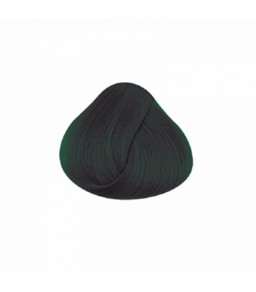 Tinte La Riche Directions Ebony