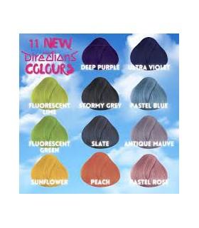 NOVEDAD¡¡¡ Tinte La Riche Directions STORMY GREY