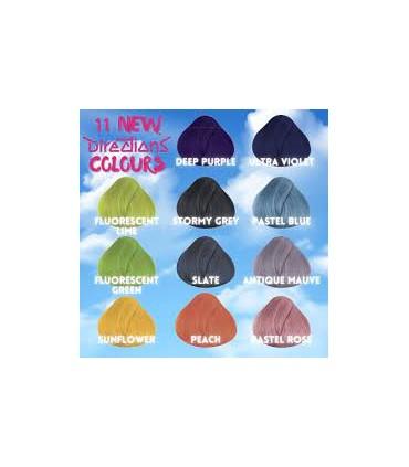 NOVEDAD¡¡¡ Tinte La Riche Directions STORMY GREY