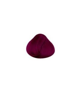 Tinte La Riche Directions Dark Tulip 100 ml