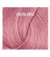 NOVEDAD -  Tinte La Riche Directions Pastel Rose