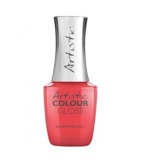ARTISTIC Arn Colour Gloss OWNED