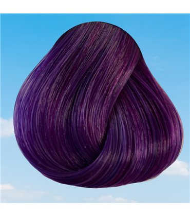 Tinte La Riche Directions Violet