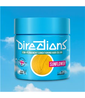 Tinte La Riche Directions sunflower