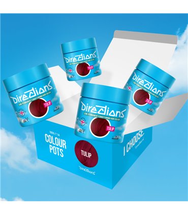 Tinte La Riche Directions Tulip 100 ml