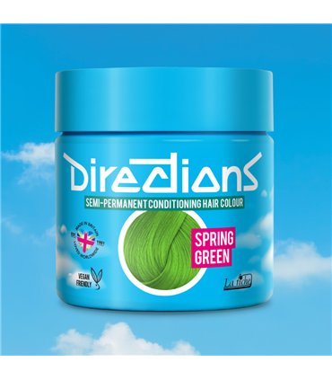 Tinte La Riche Directions Spring Green