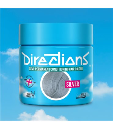 Tinte La Riche Directions Silver