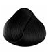 Tinte La Riche Directions Ebony