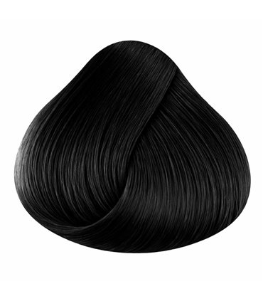 Tinte La Riche Directions Ebony