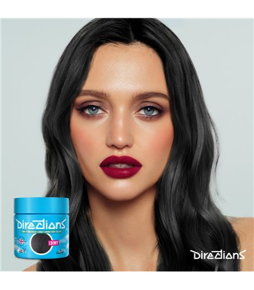 Tinte La Riche Directions Ebony