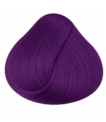 Tinte La Riche Directions Plum