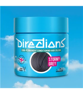 Tinte La Riche Directions STORMY GREY