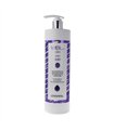 LONGWELL Champú Silver antiamarillos 1000 ml